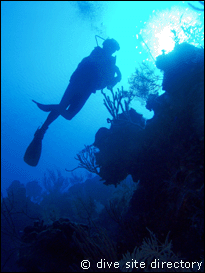 Diver at El Paraiso Perdido, Cuba dive site
